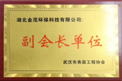 武汉市表面工程协会副会长单位